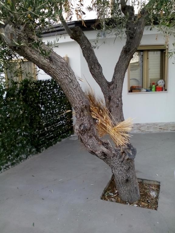 Marechiaro Villa Foce Varano Exteriör bild